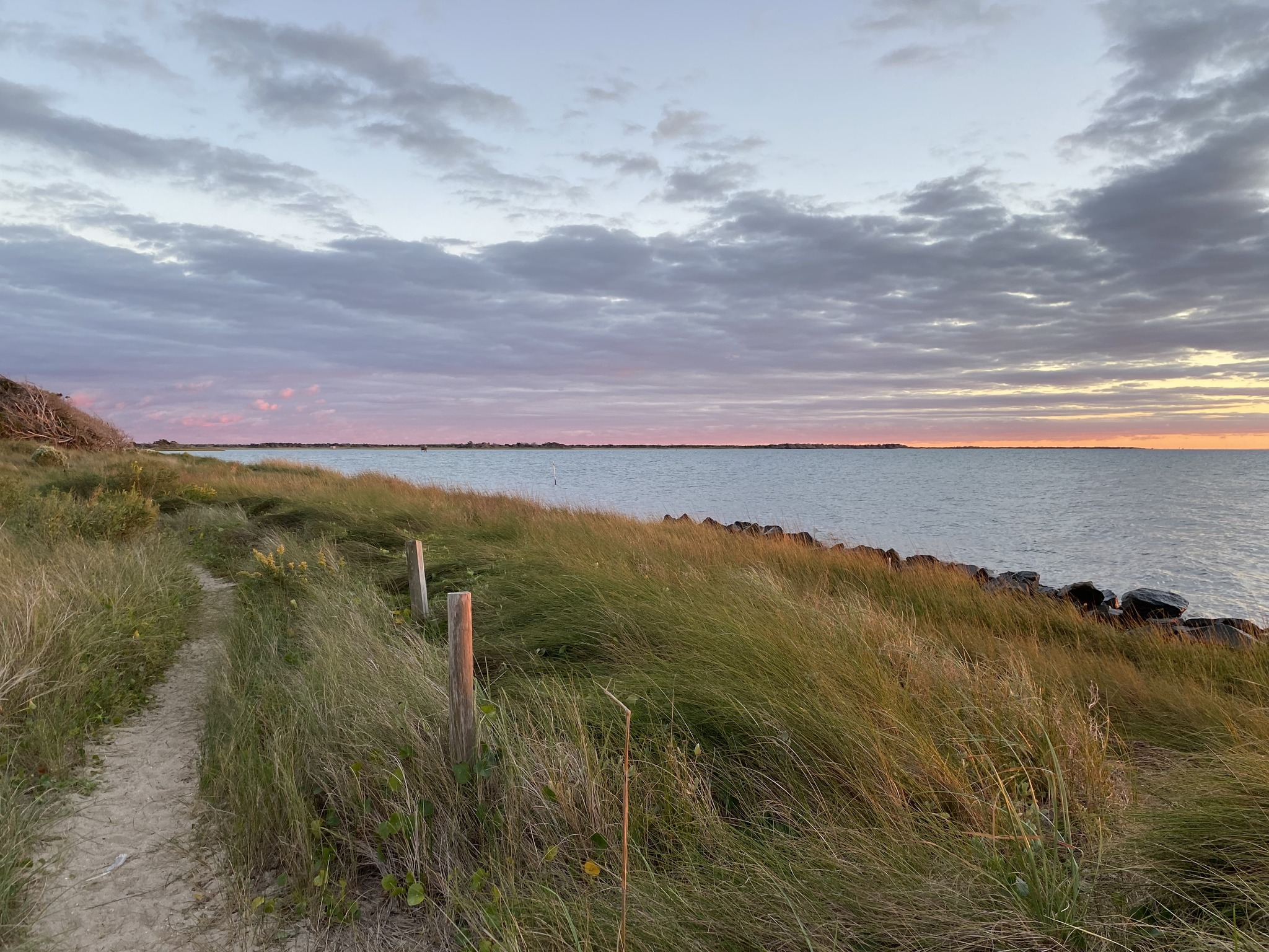 Things To Do Springer's Point Preserve